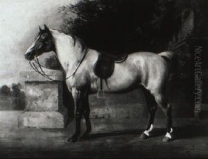 Colonel H. Thompson's Favorite Hunter by Henry Barraud