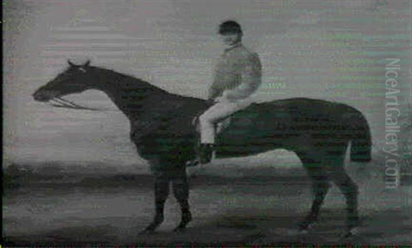 A Dark Bay Racehorse With A Jockey Up In A Landscape - view 1