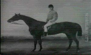 A Dark Bay Racehorse With A Jockey Up In A Landscape A Dark Bay Racehorse With A Jockey Up In A Landscape