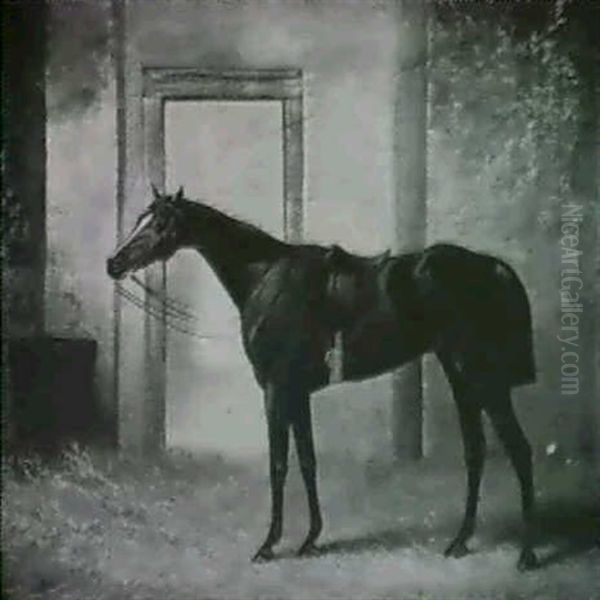 Blink Bonny, A Bay Racehorse In A Stable - view 1