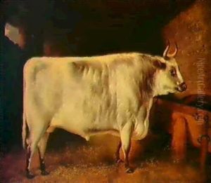 Prize Bulls by Henry Barraud