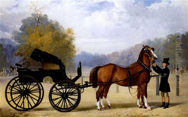 A Gentleman's Horse And Carriage - view 1