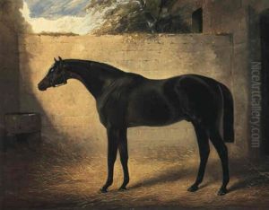 Mr. Thomas Parr's Bay Colt Fisherman In A Yard