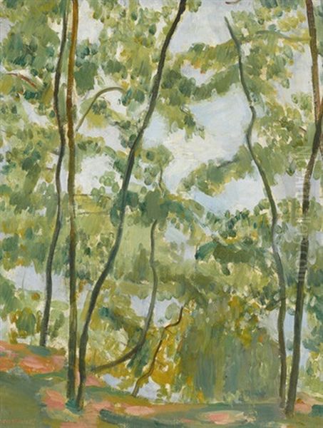 Sous-bois - view 1
