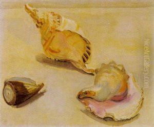 Muscheln Muscheln