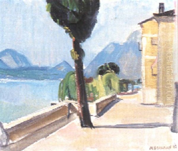Quai De Morcote - view 1
