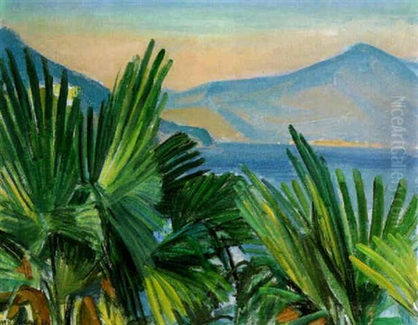 Le Grand Paysage (ascona) - view 1