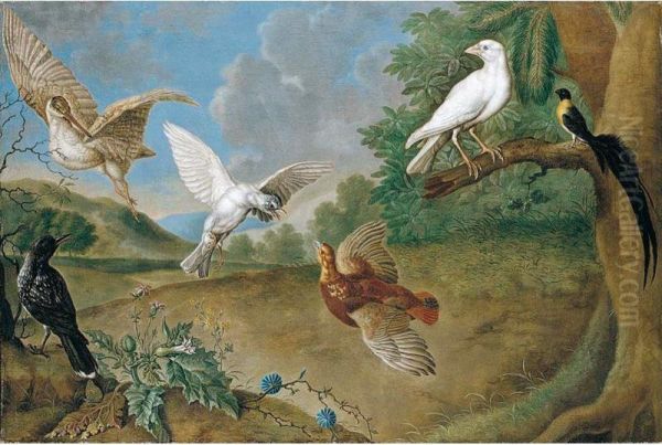 A Landscape With A Woodcock, Partridge, Bird Of Paradise And Other Birds - view 1