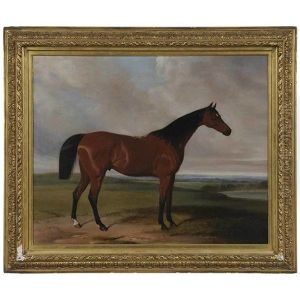 The Bay Gelding The Bay Gelding