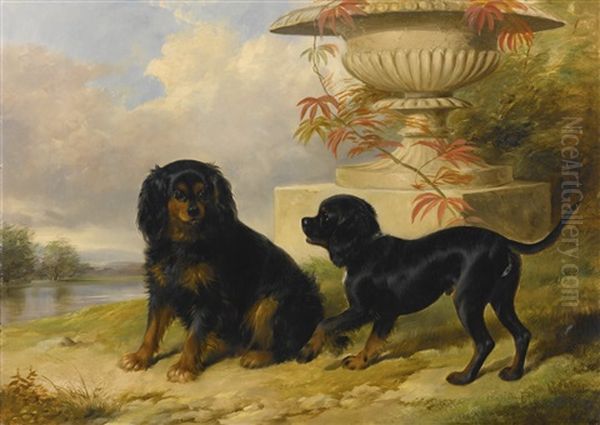 Portrait Of Lord Methuen's Spaniels, Gipsy And Fairy by William Barraud