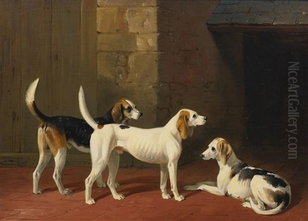 Three Fox Hounds In A Paved Kennel Yard - view 1