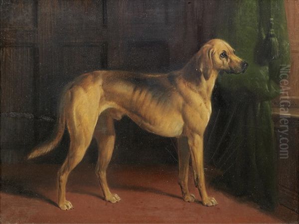 Hound In An Interior - view 1