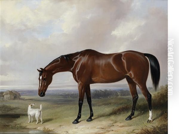 A Bay Hunter And A Terrier In A Landscape - view 1