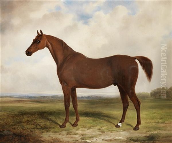 A Chestnut Horse In A Landscape - view 1
