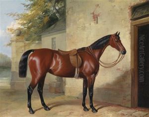 Gesattelter Brauner by William Barraud