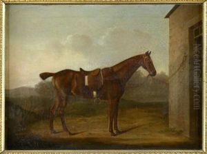 Peeping Tom (+ Another; 2 Works)