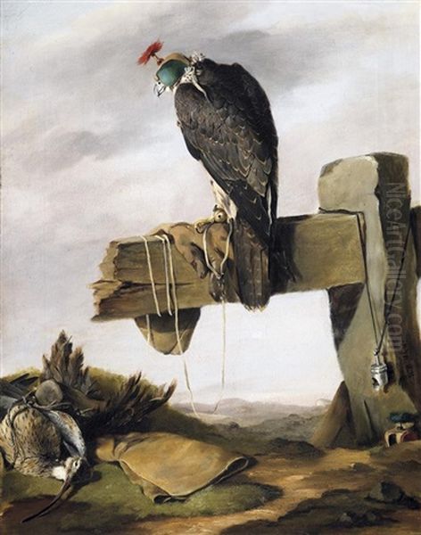 Jagdfalke. Daneben Eine Erlegte Schnepfe - view 1