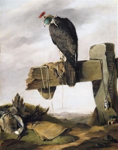 Jagdfalke. Daneben Eine Erlegte Schnepfe by William Barraud