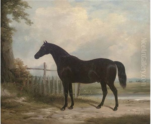 "plato", The Property Of The Marquess Of Hastings - view 1