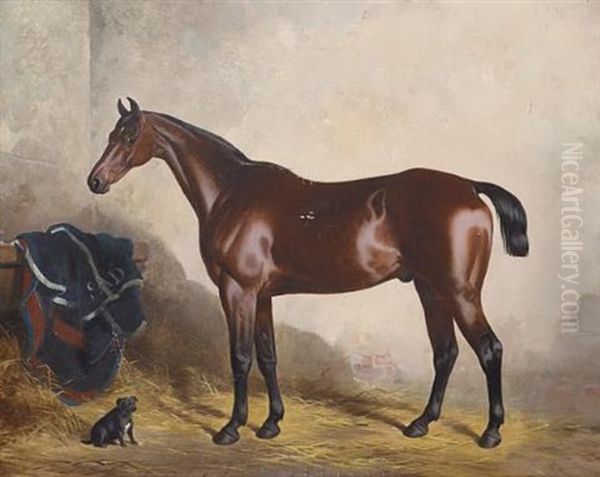 "cricket" And "myrtle": A Dark Bay Horse And A Dog In A Stable - view 1