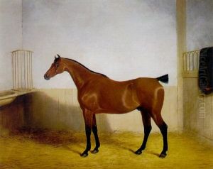 "peacock" In A Stable