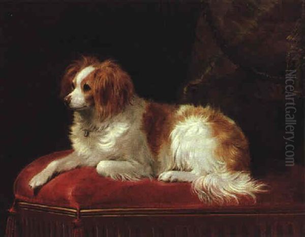A Brown And White Spaniel Seated On A Red Cushion - view 1