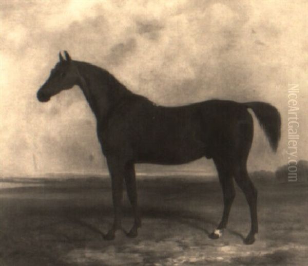 'volt' - view 1