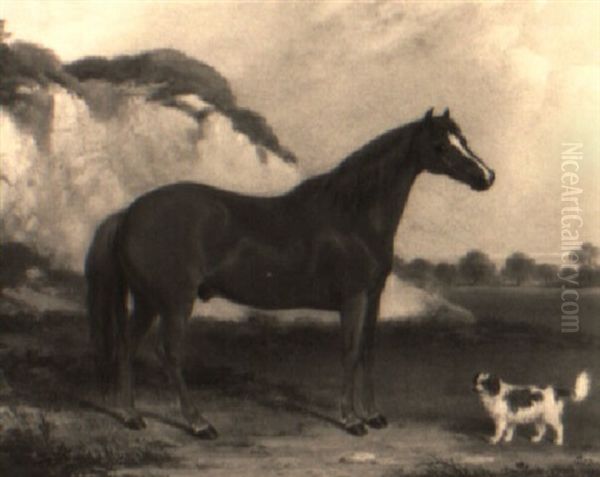A Chestnut Horse With Spaniel In A Landscape - view 1