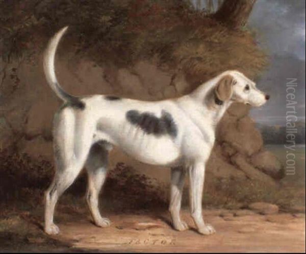 Factor, A Favorite Hound In A Landscape - view 1