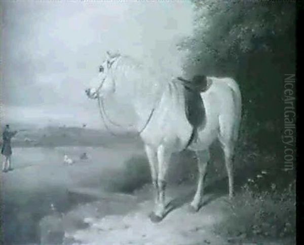 The Shooting Pony - view 1