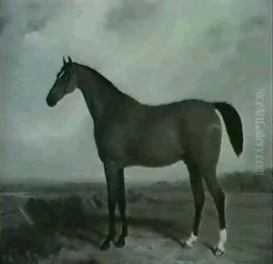 Bay Stallion by William Barraud