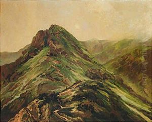 An Extensive Mountainous Landscape by Enrique D. Barreda