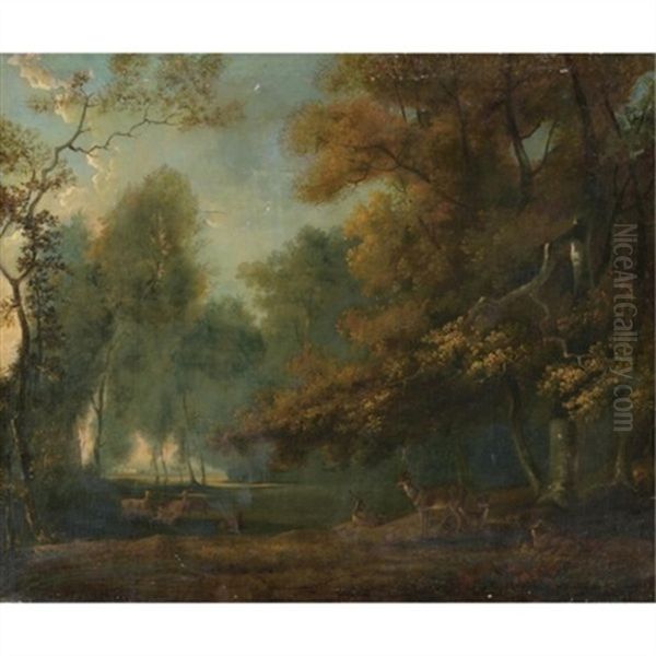 Deer In A Forest - view 1
