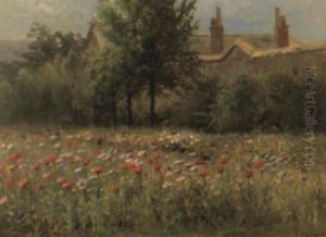 Summer Poppies