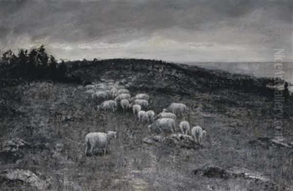 Sheep Grazing In The Countryside - view 1