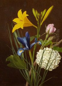 Etude De Fleurs (study)
