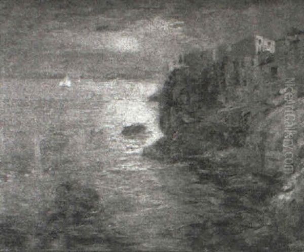 Provincial Village On Rocky Coast - view 1