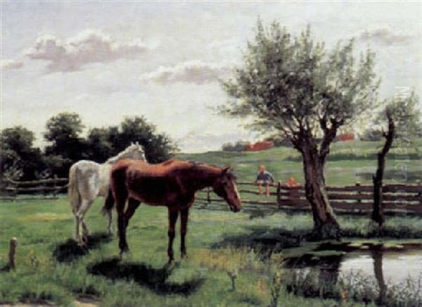 Sommerliche Weidelandschaft Mit Schimmel Und Braunen - view 1