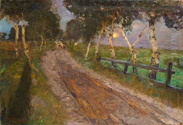 Birkenweg - view 1