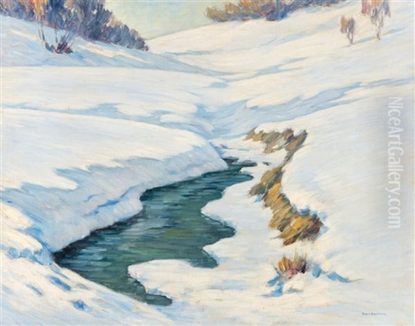 Verschneites Bachbett/schwarzwald - view 1