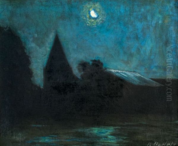 Schwaan Bei Nacht - view 1