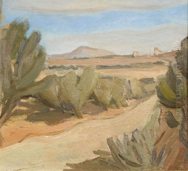 Sudliche Landschaft Mit Buschgesaumtem Weg - view 1