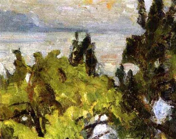 Vue Sur Le Lac - view 1