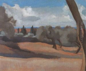 Sudliche Landschaft Mit Olivenbaumen Und Pinien
