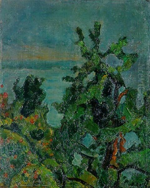 Blick Auf Den Genfersee - view 1