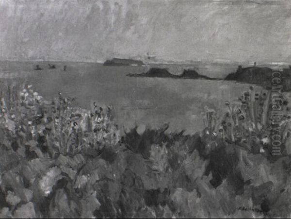 Bluhende Kuste Bei Saint Lunaire - view 1