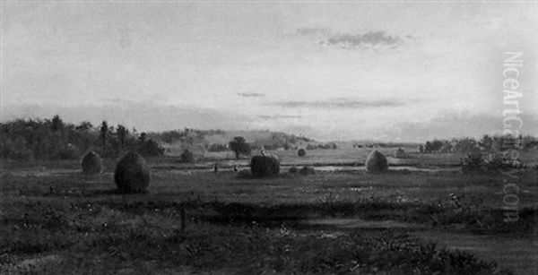 Hay Harvest, Sunset - view 1