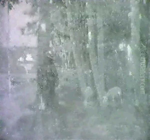 The Edge Of The Wood - view 1