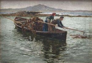 Collecting Kelp, Connemara