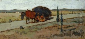 Cavallo Con Carro A Campolecciano